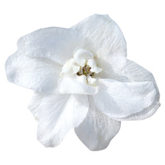 Delphinium Pacific Giants Galahad