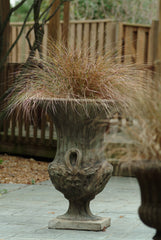 ColorGrass Anemanthele Sirocco MPLT