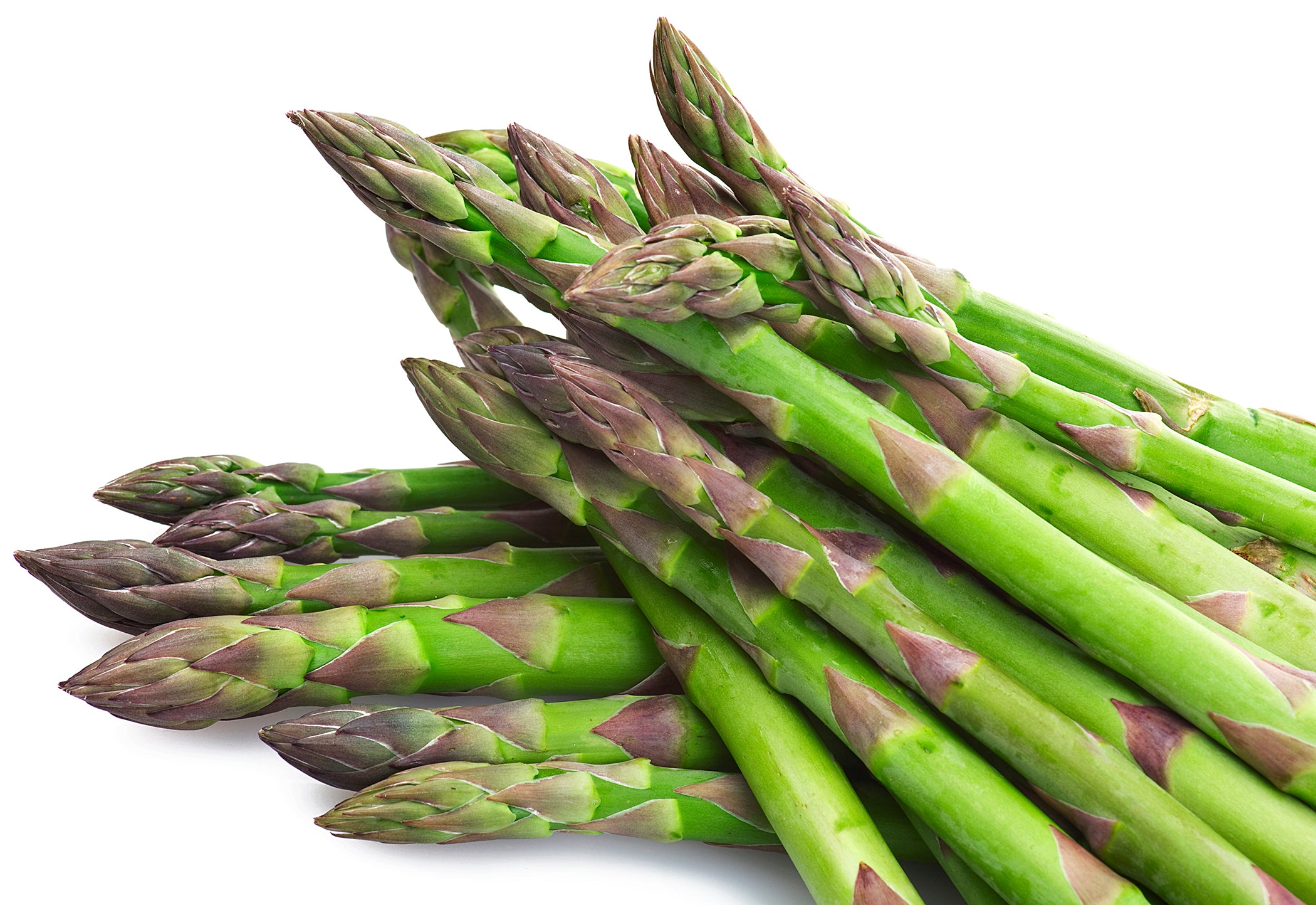 How To Grow Mary Washington Asparagus How To Grow Mary Washington Asparagus