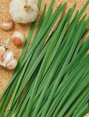 Chives Garlic