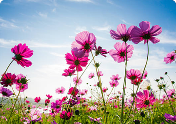 Ohio Florist Association Short Course