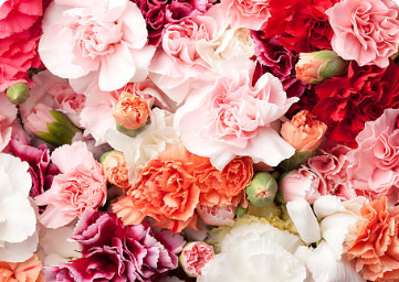 Ohio Florist Association Short Course