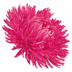 Aster Gala Carmine Rose
