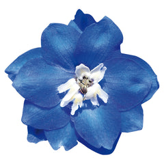 Delphinium Pacific Giants Blue Bird