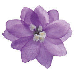 Delphinium Magic Fountains Lavender White Bee