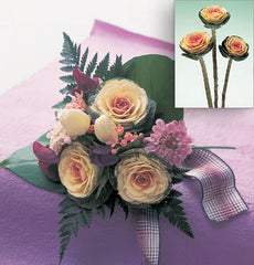 Ornamental Kale Crane White