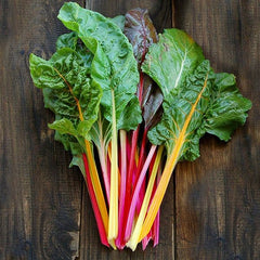 Swiss Chard Rainbow Mix