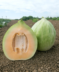 Melon Crenshaw