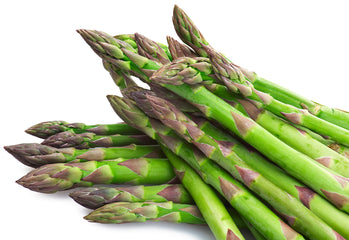 Asparagus Mary Washington