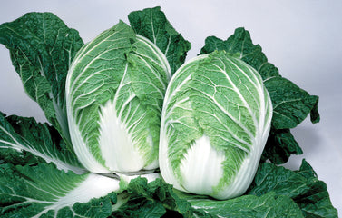 Cabbage China Express