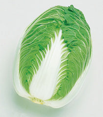 Cabbage Blues, Chinese Napa