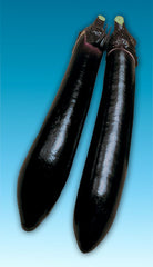Eggplant Millionaire (Japanese)