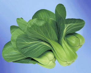Pak Choi Green Fortune