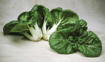 Pak Choi Toy Choy