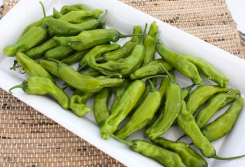 Pepper Takara, Shishito