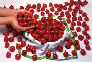 Tomato Sweet Million
