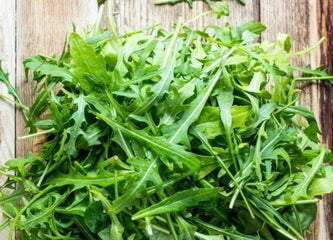 Arugula Roquette