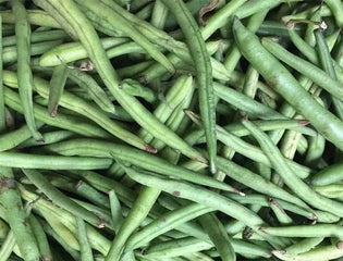 Bean Kentucky Blue Pole,  AAS