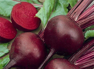 Beet Detroit Dark Red