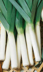 Leek American Flag
