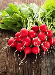 Radish Cherry Belle