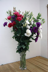 Lisianthus Mariachi Mix PLT