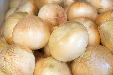 Onion Walla Walla Sweet