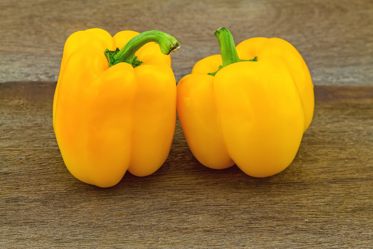 100 Seeds Golden YELLOW BELL PEPPER California Wonder Capsicum Vegetable Seeds 100 Seeds Golden YELLOW BELL PEPPER California Wonder Capsicum Vegetable Seeds