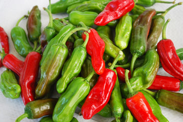 Pepper Pepperoncini Greek