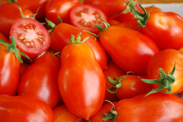 Tomato Roma VFN