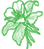 Aquilegia