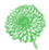 Armeria