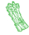 Asparagus