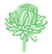 Aster