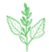 Atriplex