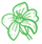 Bacopa