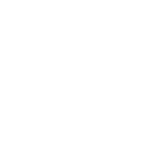 Bedding Plants