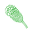 Burnet