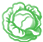 Cabbage