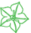 Campanula