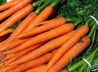 Carrot Imperator