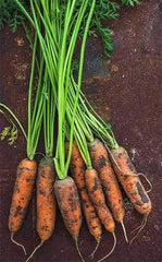 Carrot Little Fingers