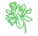 Carthamus