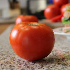 Tomato Celebrity PLUS