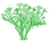 Centranthus