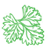 Chervil