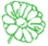 Cineraria
