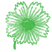 Coreopsis