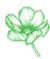 Cosmos