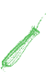 Cuphea